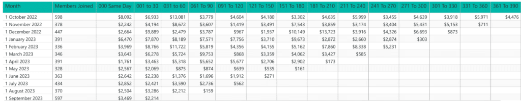 customer cohort analysis