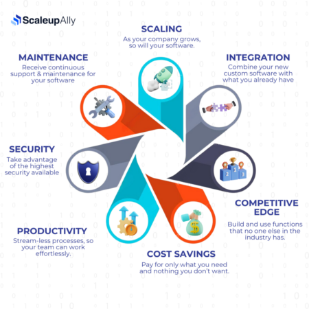 Why Niche Leaders Need Custom Software