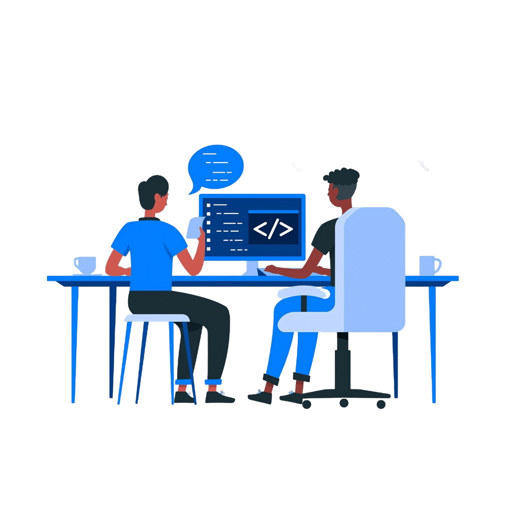 Custom software development